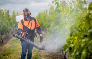В Молдове ужесточают контроль за пестицидами: стартовала неделя устойчивого применения