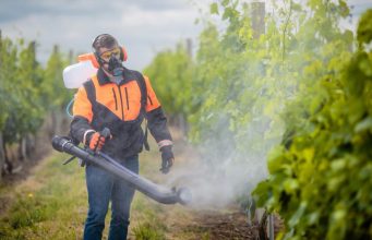В Молдове ужесточают контроль за пестицидами: стартовала неделя устойчивого применения