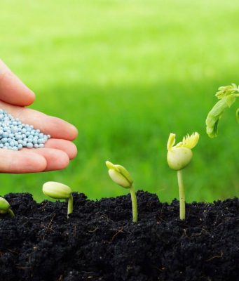 Молдова выделяет до 800 тыс. леев на проекты по улучшению почвы