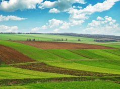 Новые правила для фермеров Молдовы