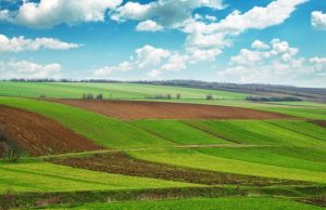 Новые правила для фермеров Молдовы