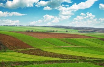 Новые правила для фермеров Молдовы