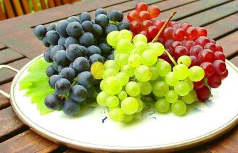 В Кагуле создан кластер «Столовый виноград» для продвижения продукции на внешние рынки