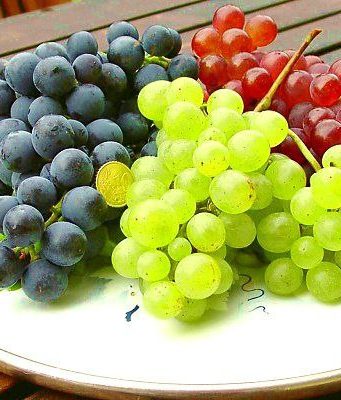 В Кагуле создан кластер «Столовый виноград» для продвижения продукции на внешние рынки