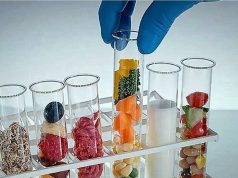 В Молдове утвердили санитарные правила для инновационных пищевых продуктов