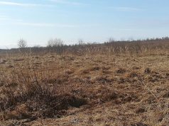 В Молдове с 1 апреля 2025 года вступают в силу новые правила для заброшенных сельхозземель