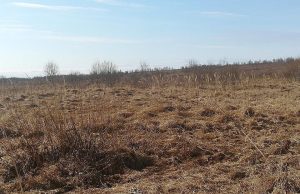 В Молдове с 1 апреля 2025 года вступают в силу новые правила для заброшенных сельхозземель