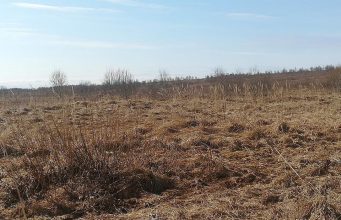 В Молдове с 1 апреля 2025 года вступают в силу новые правила для заброшенных сельхозземель