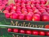 Молдова покоряет Британию: экспорт фруктов бьет рекорды