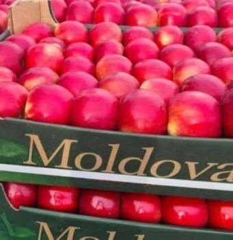 Молдова покоряет Британию: экспорт фруктов бьет рекорды