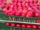 Молдова покоряет Британию: экспорт фруктов бьет рекорды
