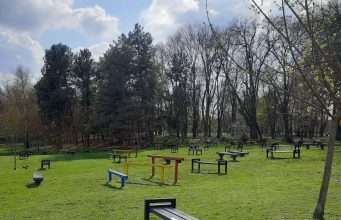 Муниципалитет Кишинёва готовит парки к лету: в «Долине роз» обновили 130 скамеек