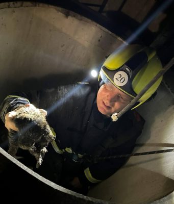 Молдавские спасатели пришли на помощь щенку