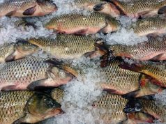 ANSA предупреждает: будьте осторожны при покупке рыбы перед Пасхой