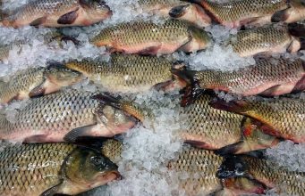 ANSA предупреждает: будьте осторожны при покупке рыбы перед Пасхой