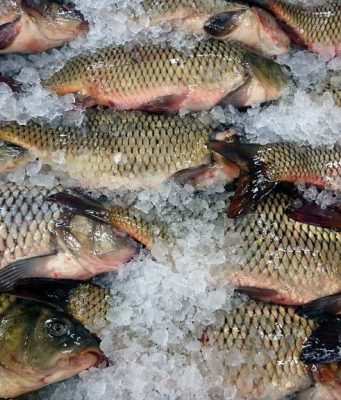 ANSA предупреждает: будьте осторожны при покупке рыбы перед Пасхой