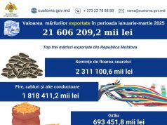 Экспорт из Молдовы в первом квартале 2025 года превысил 21,6 млрд леев