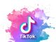 Российское посольство в Молдове выходит в TikTok