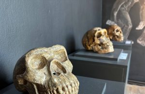 В Старом Оргееве открылся Музей археологии и антропологии