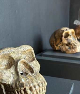 В Старом Оргееве открылся Музей археологии и антропологии