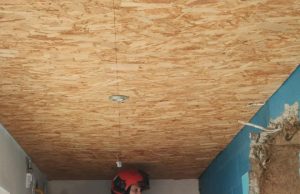 В Каушанском районе сотрудники ГИЧС спасли лисенка