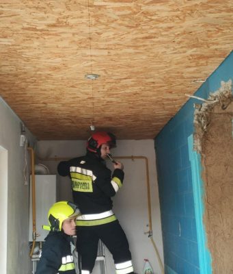 В Каушанском районе сотрудники ГИЧС спасли лисенка