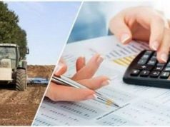 Продлена программа возмещения НДС для сельхозпроизводителей Молдовы до июня 2026 года