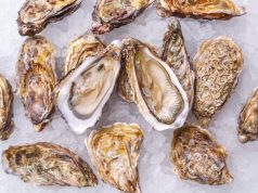 В Дубоссарском районе открылась уникальная устричная ферма