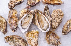 В Дубоссарском районе открылась уникальная устричная ферма