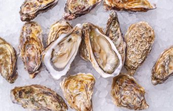 В Дубоссарском районе открылась уникальная устричная ферма