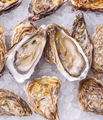 В Дубоссарском районе открылась уникальная устричная ферма