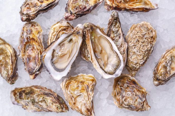 photo_2025-04-24 20.31.05