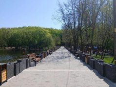 Кишинев готовиться к праздникам: новые элементы благоустройства в Рышкановском лесопарке