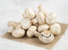 Крупнейший дистрибьютор грибов в Молдове Histrios начал процедуру банкротства