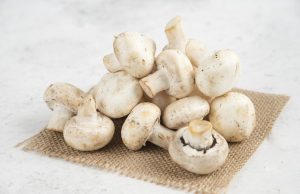 Крупнейший дистрибьютор грибов в Молдове Histrios начал процедуру банкротства