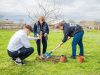 Акция «Сад Памяти» завершилась высадкой деревьев в Бессарабке