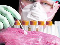 Торговцы свининой в Молдове оштрафованы на 420 тысяч леев за нарушения