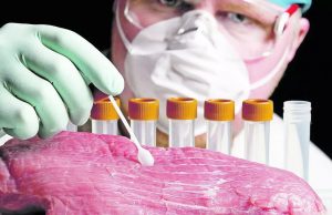 Торговцы свининой в Молдове оштрафованы на 420 тысяч леев за нарушения