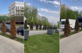 Массовое отравление туй на улице Садовяну в Кишинёве: выявлены токсичные вещества