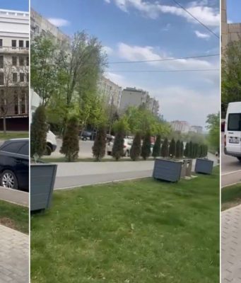 Массовое отравление туй на улице Садовяну в Кишинёве: выявлены токсичные вещества