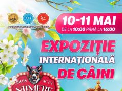 На Moldexpo пройдет международная выставка собак с цирковыми номерами