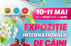 На Moldexpo пройдет международная выставка собак с цирковыми номерами