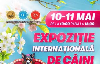 На Moldexpo пройдет международная выставка собак с цирковыми номерами