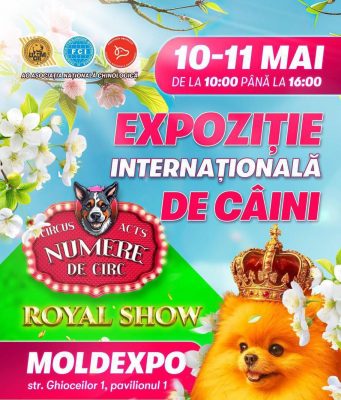 На Moldexpo пройдет международная выставка собак с цирковыми номерами