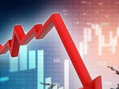 Молдова рискует утратить позиции в мировом виноделии: спад производства вина превысил 40%