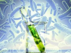 Молдова вводит строгий контроль над генетически модифицированными микроорганизмами