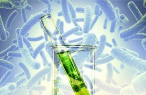 Молдова вводит строгий контроль над генетически модифицированными микроорганизмами