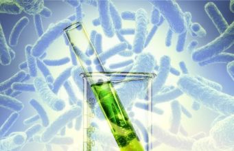 Молдова вводит строгий контроль над генетически модифицированными микроорганизмами