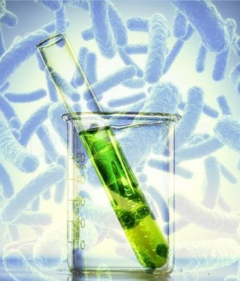 Молдова вводит строгий контроль над генетически модифицированными микроорганизмами