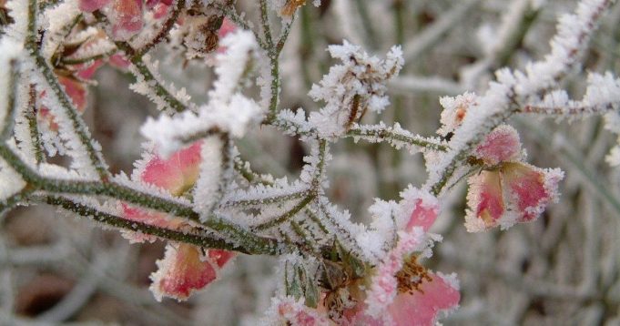 photo_2025-05-04_21-34-09
